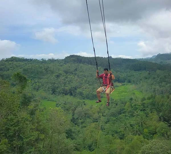 BEST OF UBUD TOUR WITH JUNGLE SWING